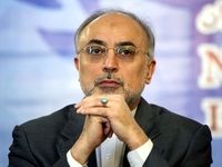 علی اکبر صالحی: بزرگ‌ترین چالش کشور در حوزه حکمرانی، تعیین تکلیف روابط بین‌الملل است